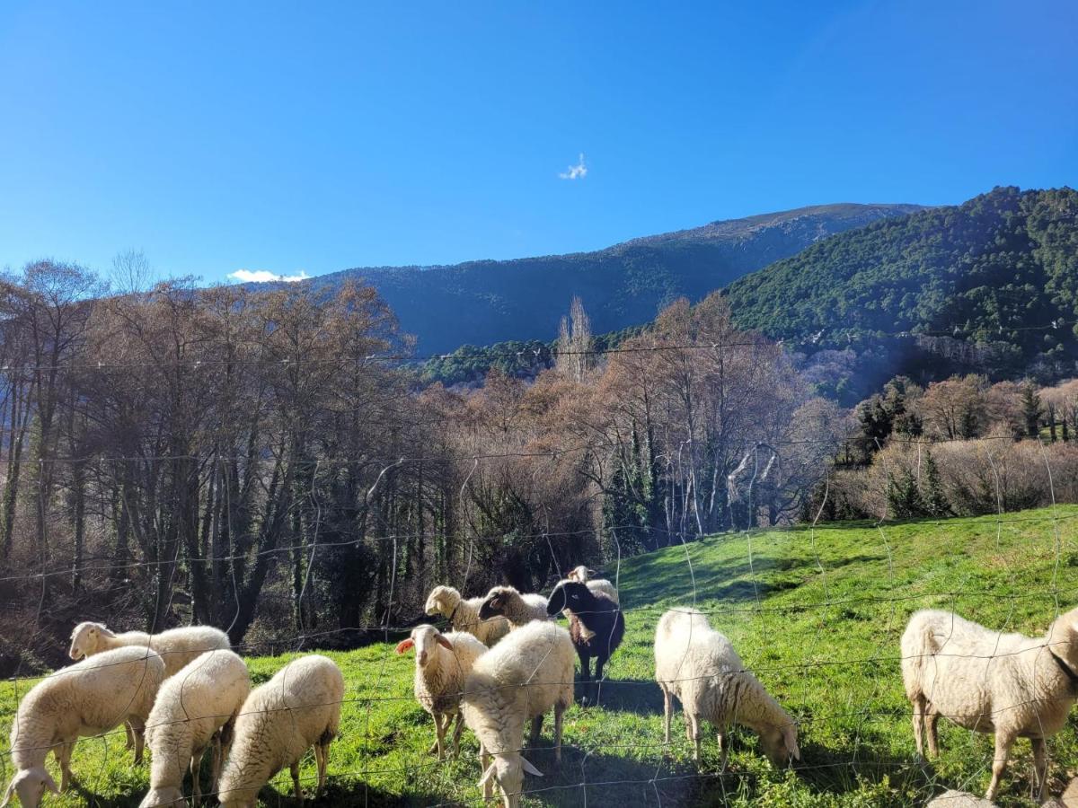 Penzion El Atico De Mijares Exteriér fotografie